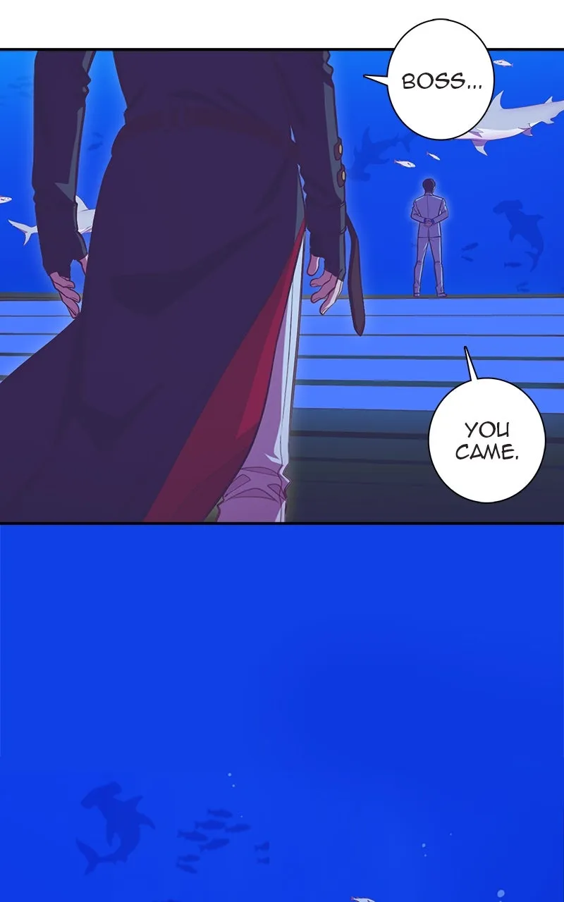 Read SHIRAI chapter 18 image 4 on Lezhin
