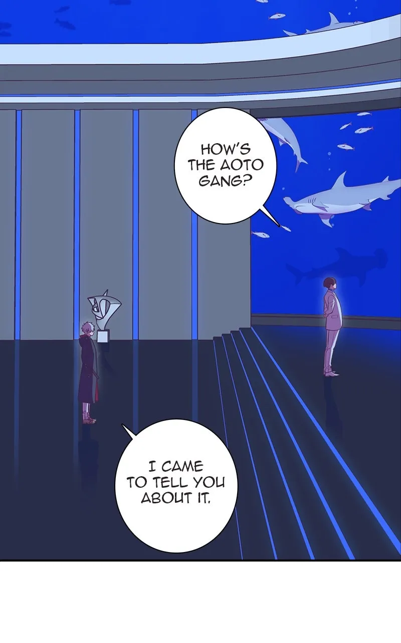 Read SHIRAI chapter 18 image 5 on Lezhin