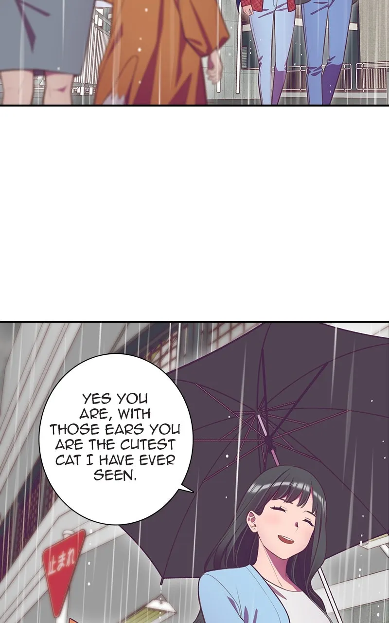 Read SHIRAI chapter 20 image 35 on Lezhin