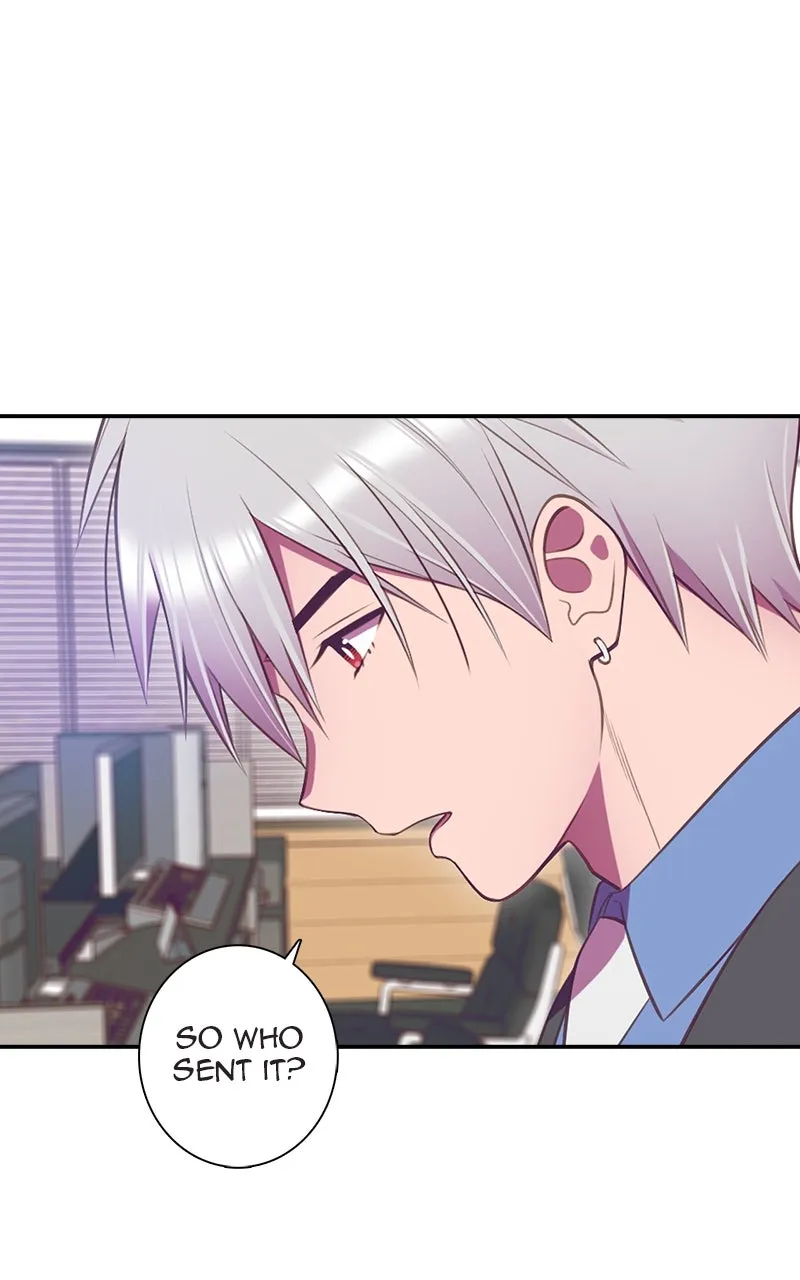Read SHIRAI chapter 24 image 12 on Lezhin