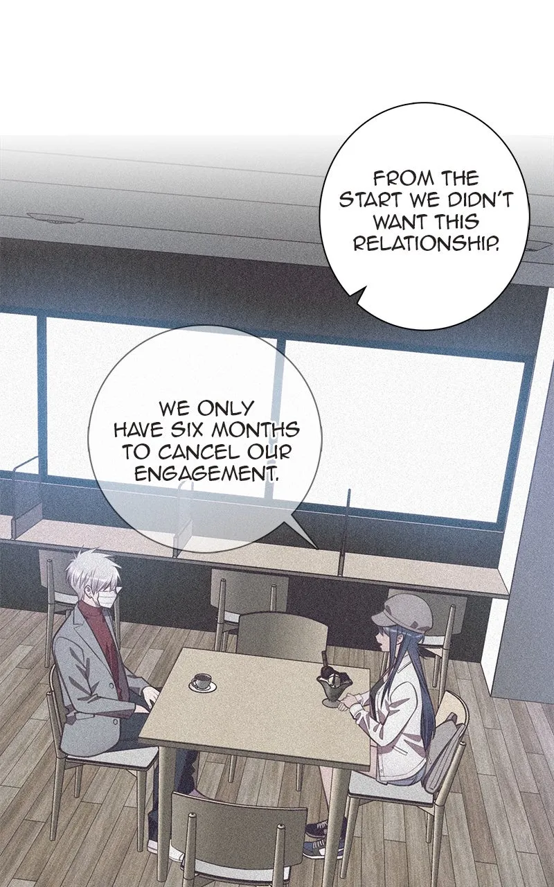 Read SHIRAI chapter 24 image 44 on Lezhin