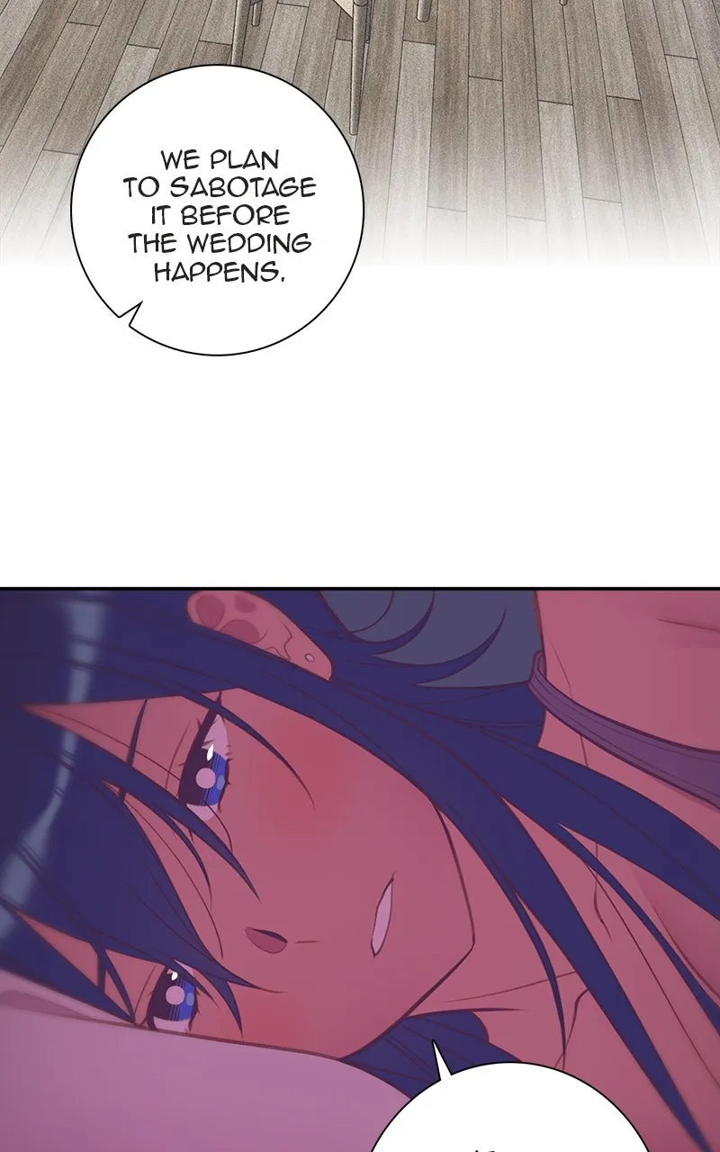 Read SHIRAI chapter 24 image 45 on Lezhin