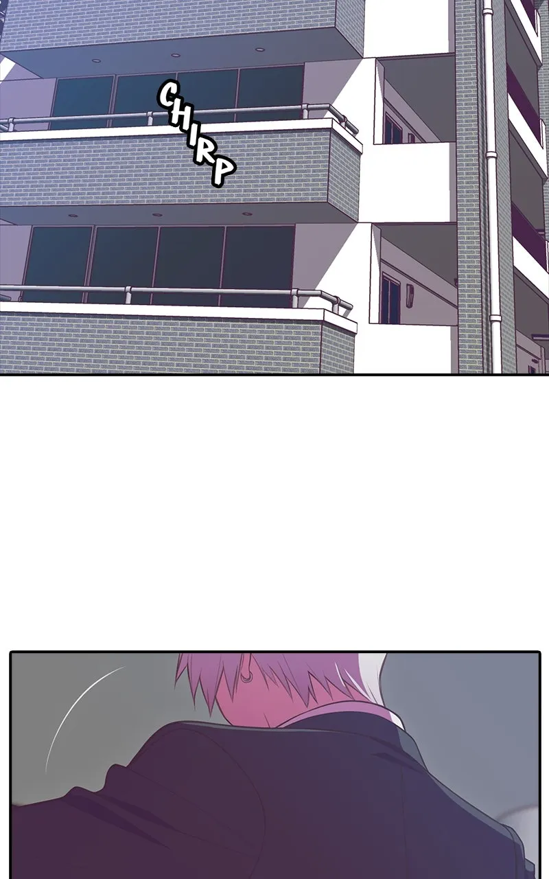 Read SHIRAI chapter 25 image 1 on Lezhin