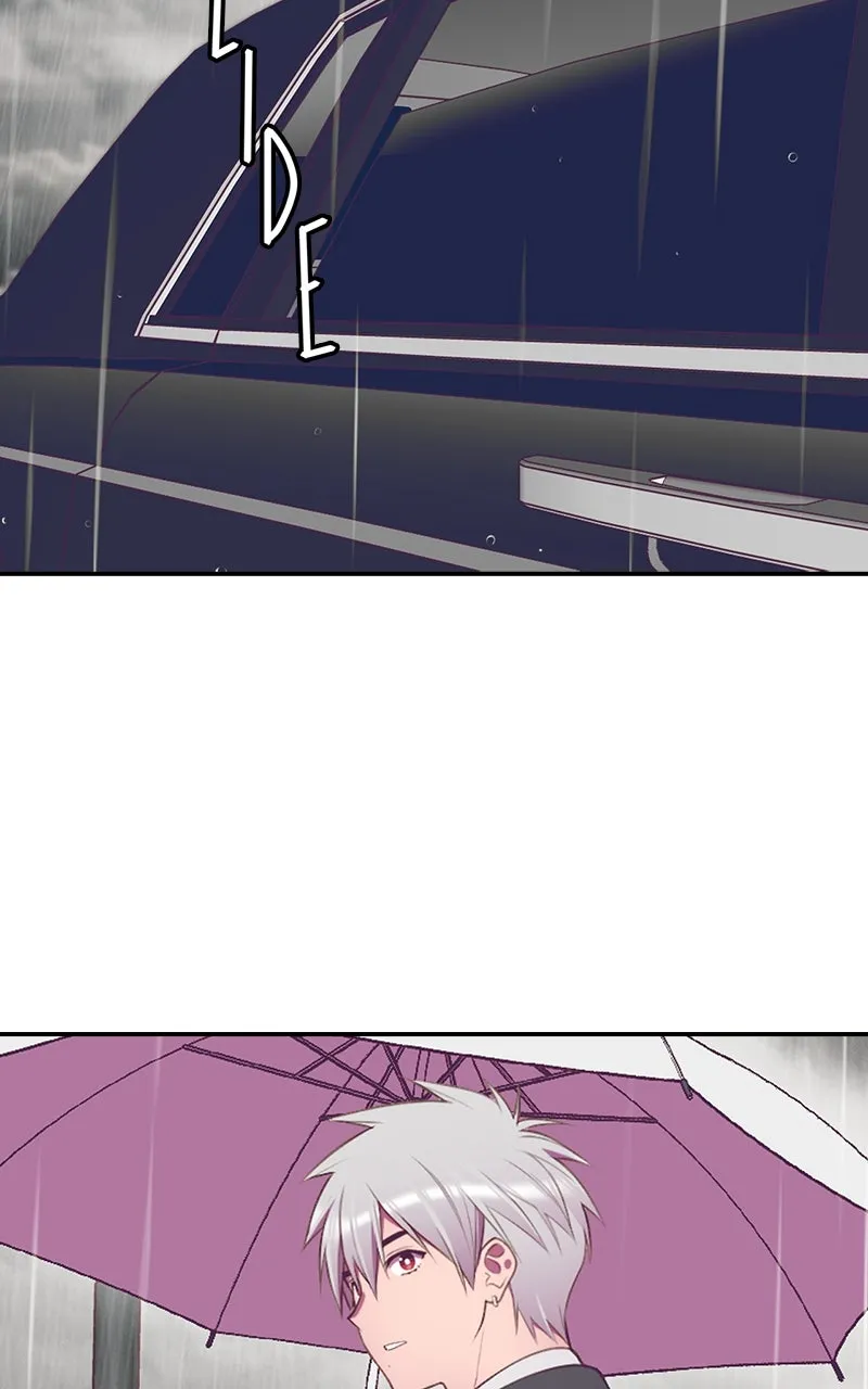 Read SHIRAI chapter 25 image 48 on Lezhin