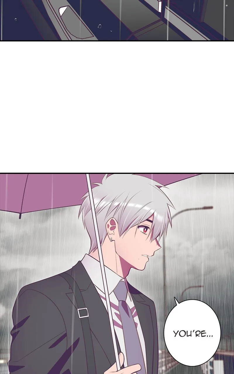 Read SHIRAI chapter 26 image 1 on Lezhin