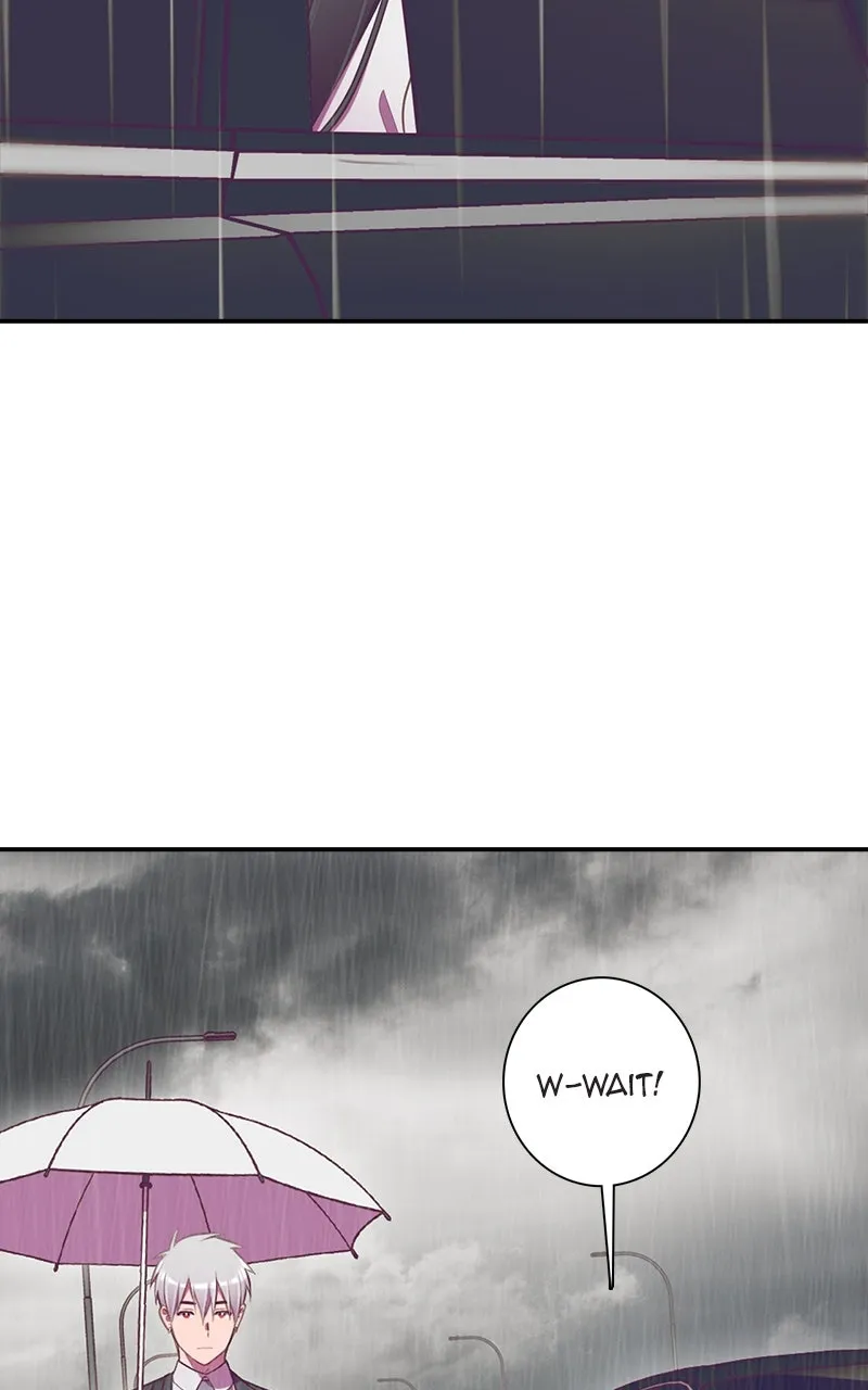 Read SHIRAI chapter 26 image 13 on Lezhin