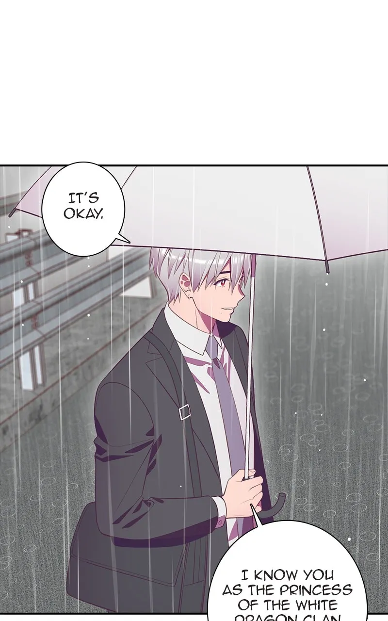 Read SHIRAI chapter 26 image 8 on Lezhin
