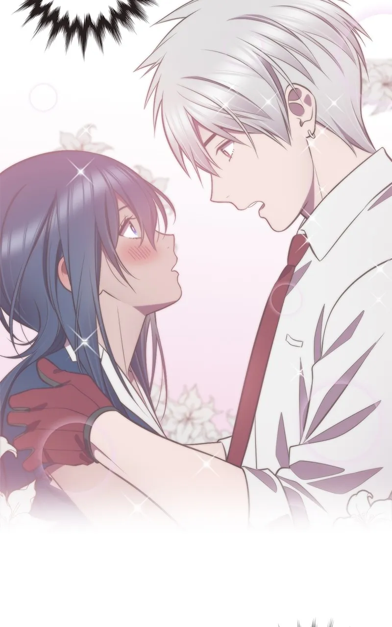 Read SHIRAI chapter 3 image 9 on Lezhin