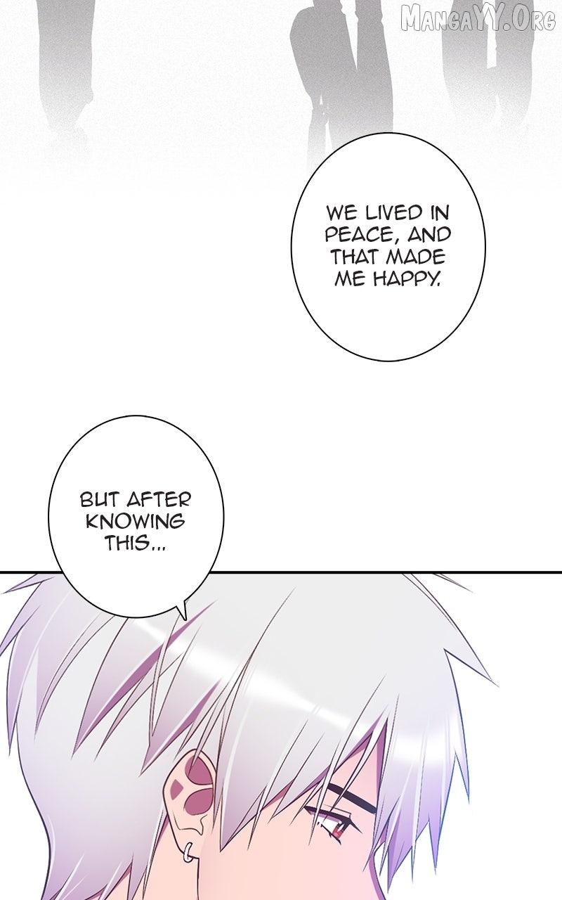 Read SHIRAI chapter 31 image 53 on Lezhin