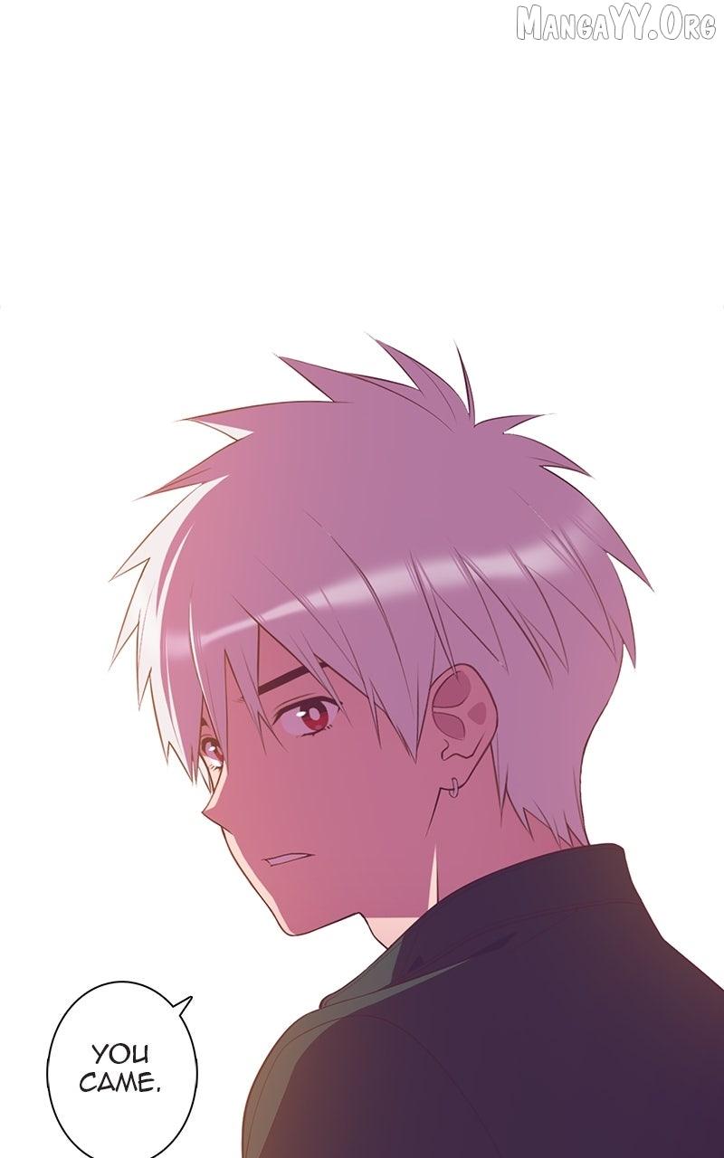 Read SHIRAI chapter 32 image 5 on Lezhin
