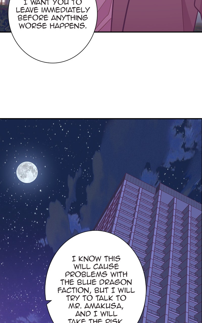 Read SHIRAI chapter 37 image 26 on Lezhin