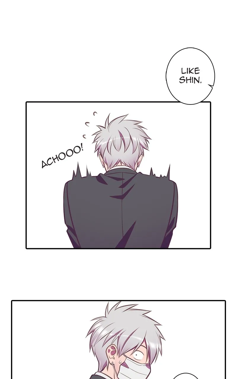 Read SHIRAI chapter 4 image 17 on Lezhin