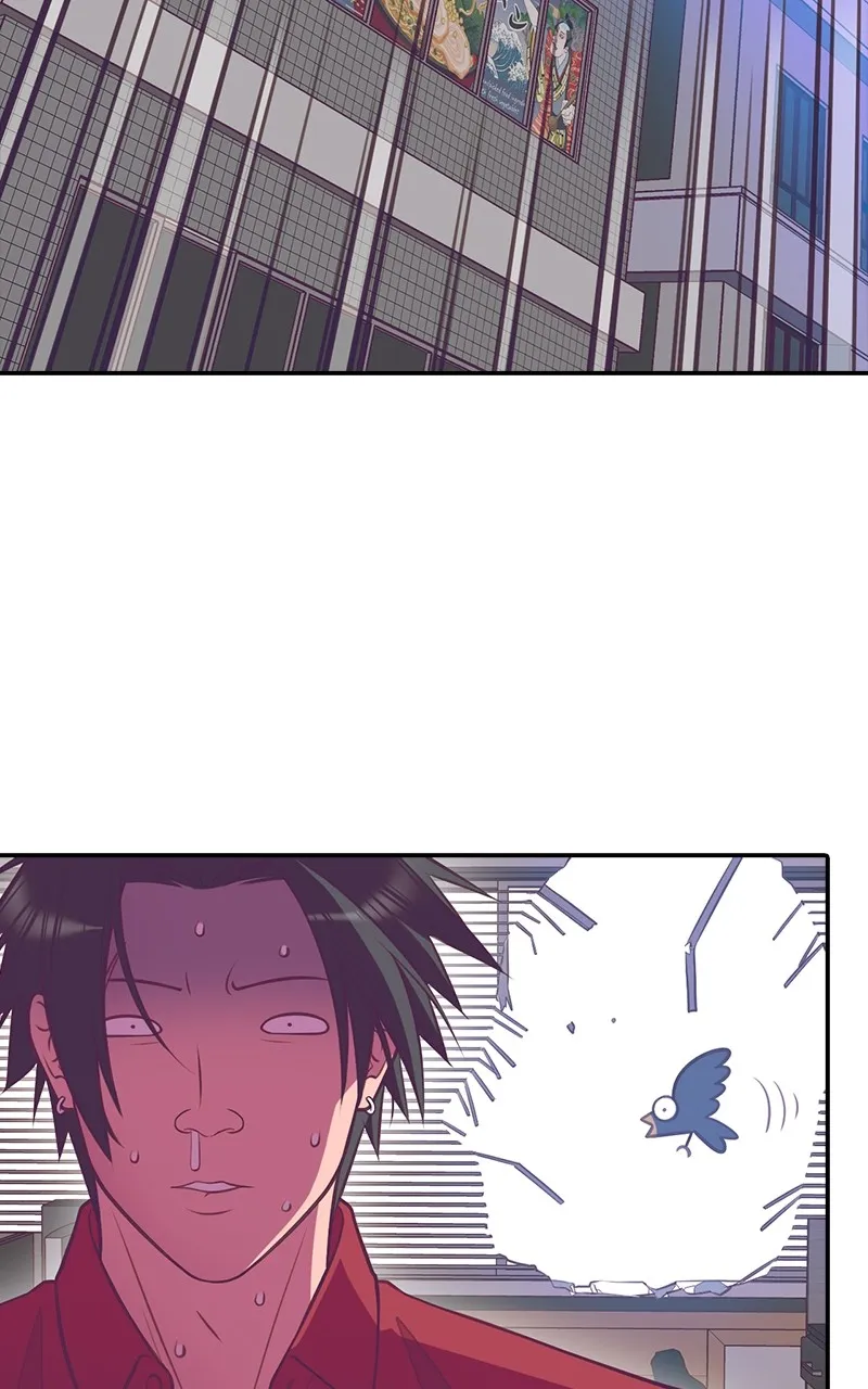 Read SHIRAI chapter 4 image 37 on Lezhin