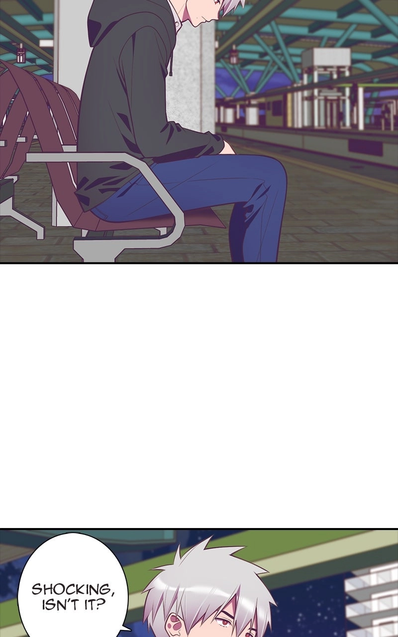 Read SHIRAI chapter 46 image 2 on Lezhin