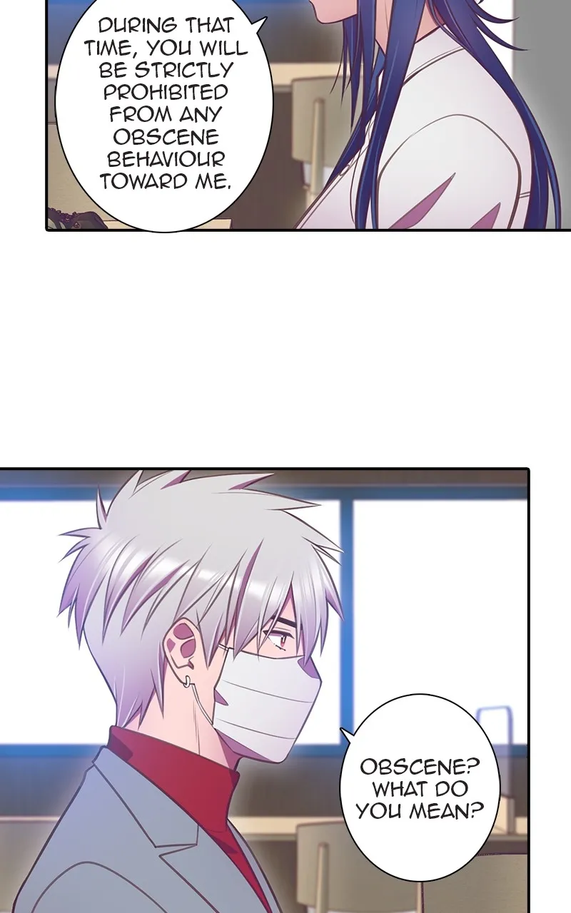 Read SHIRAI chapter 5 image 42 on Lezhin
