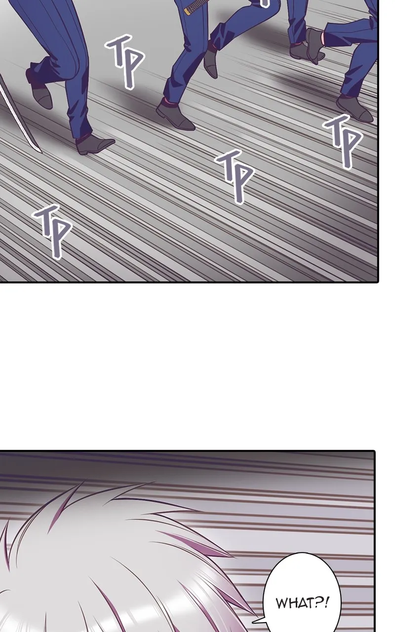 Read SHIRAI chapter 9 image 14 on Lezhin