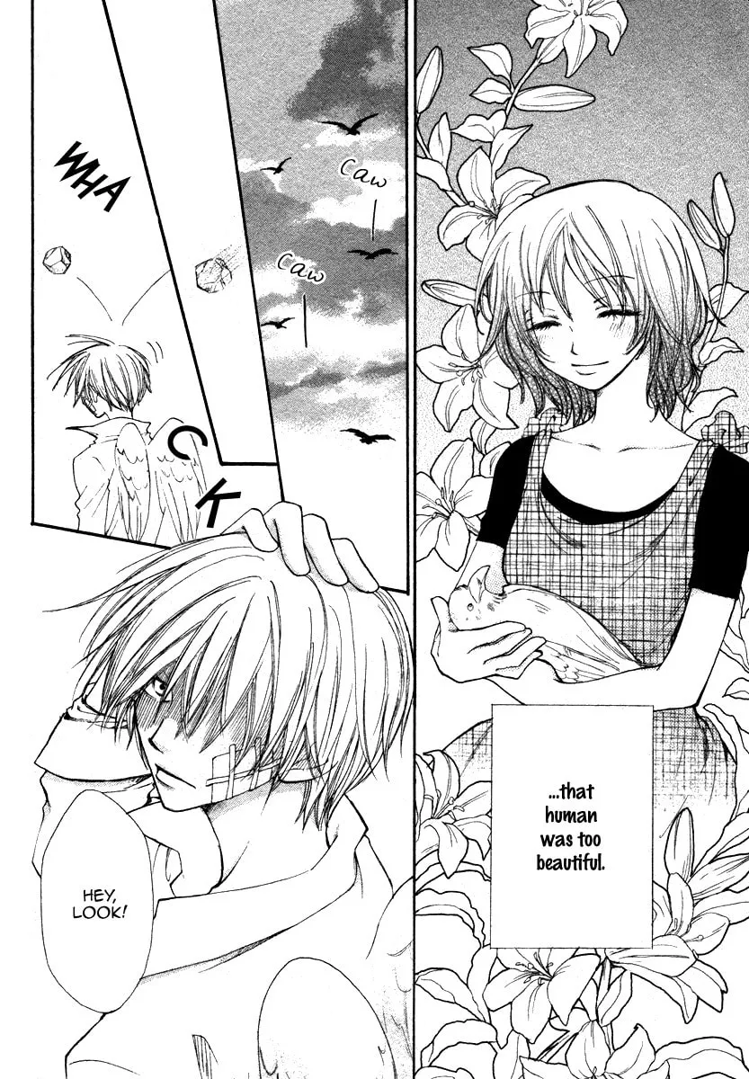 Read Shiro no Keiyaku chapter 0 image 6 on Lezhin
