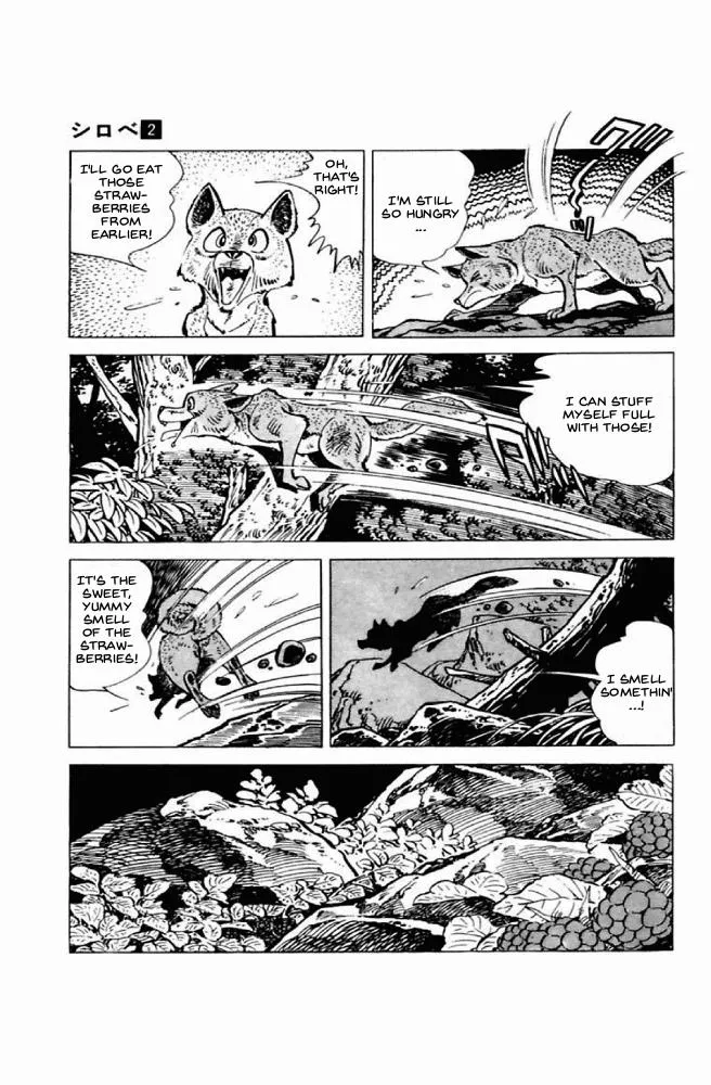 Read Shirobe chapter 1 image 13 on Lezhin
