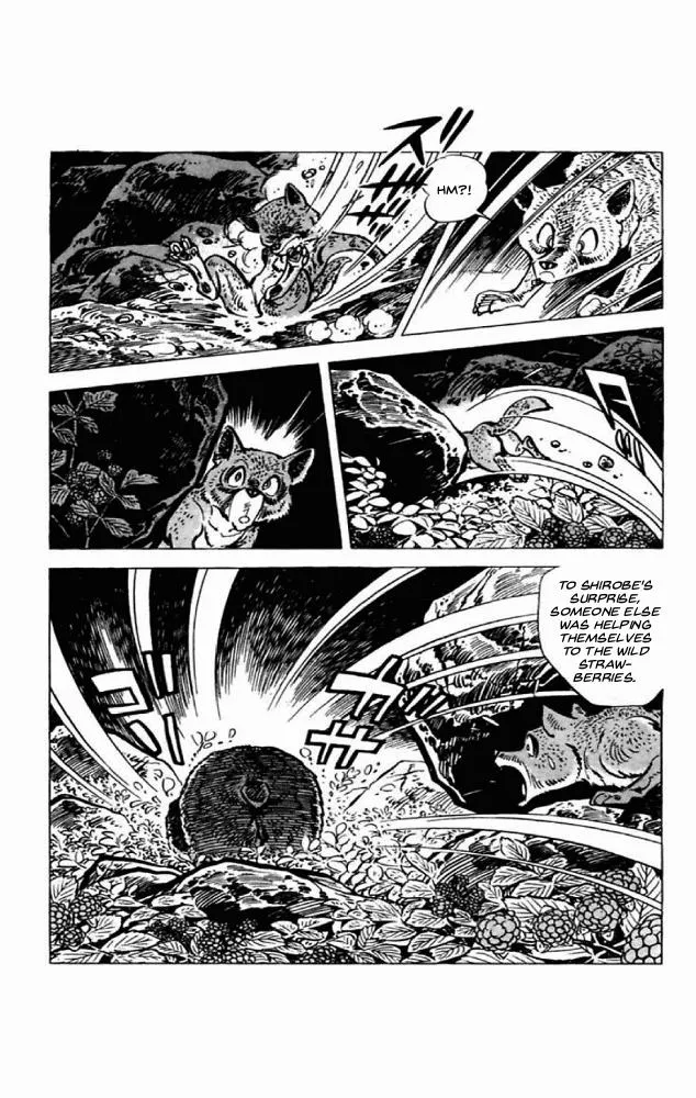 Read Shirobe chapter 1 image 14 on Lezhin