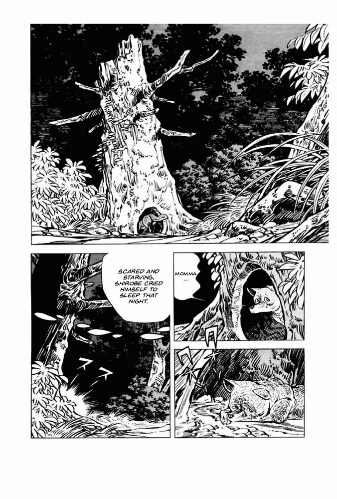 Read Shirobe chapter 1 image 18 on Lezhin