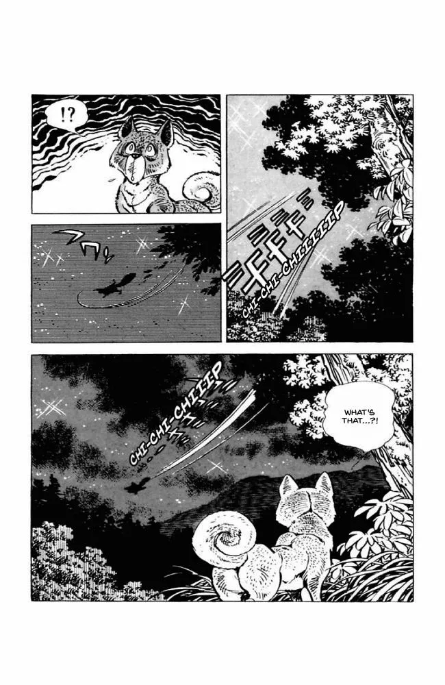 Read Shirobe chapter 1 image 6 on Lezhin