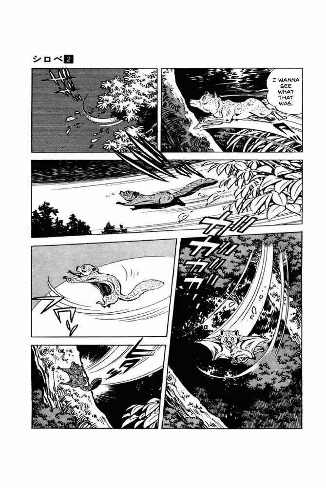 Read Shirobe chapter 1 image 7 on Lezhin