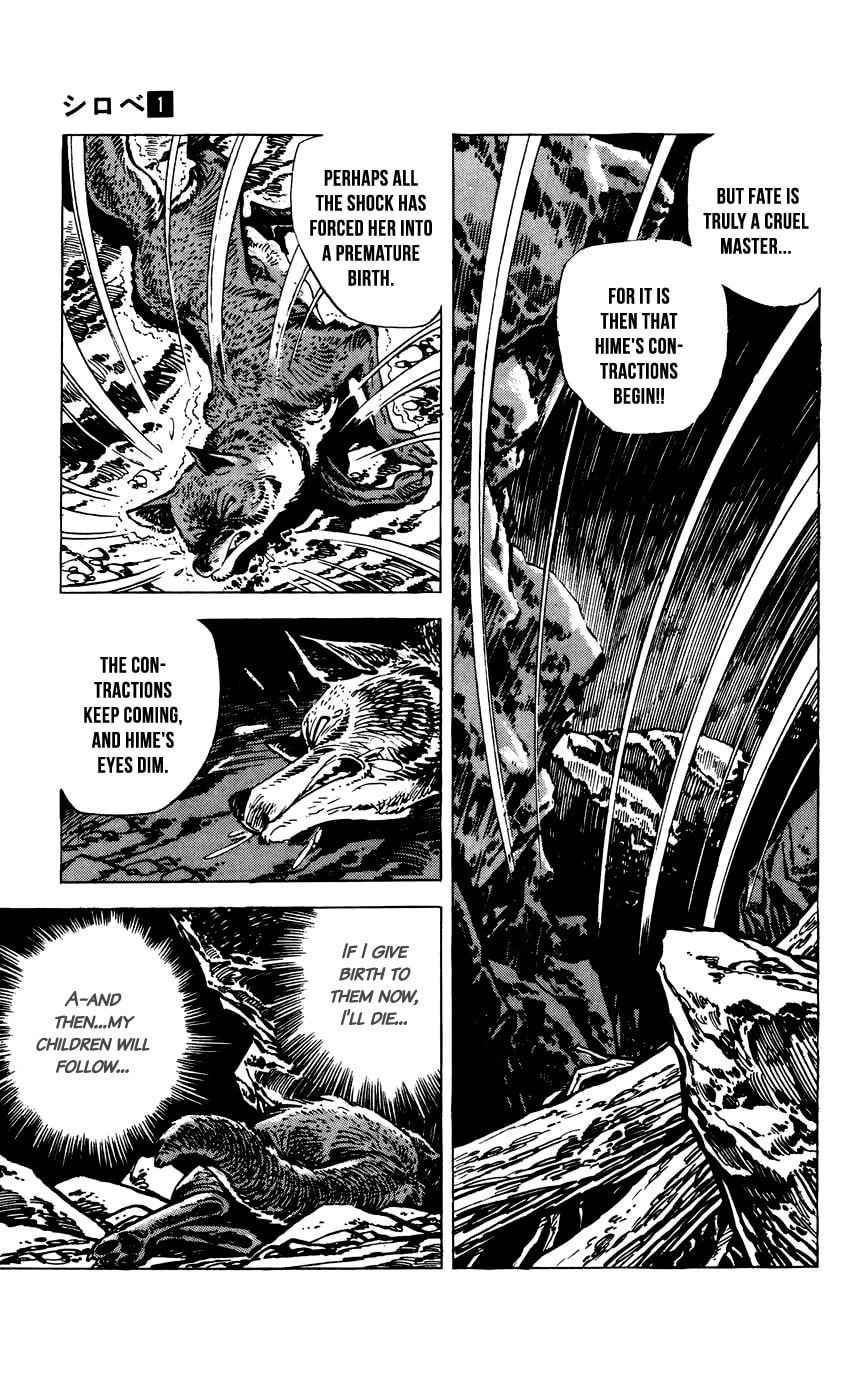 Read Shirobe chapter 3 image 14 on Lezhin