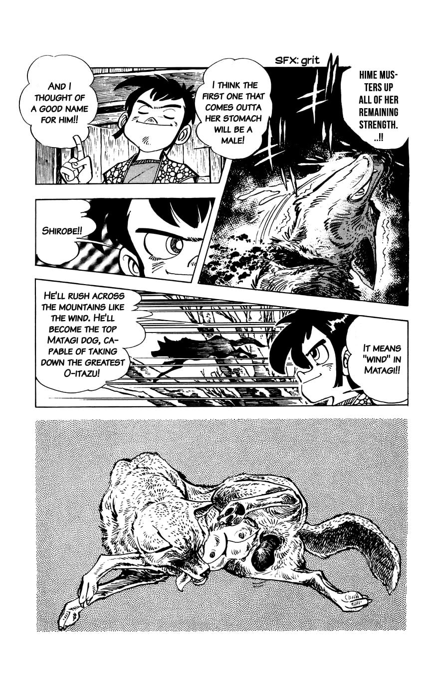Read Shirobe chapter 3 image 16 on Lezhin