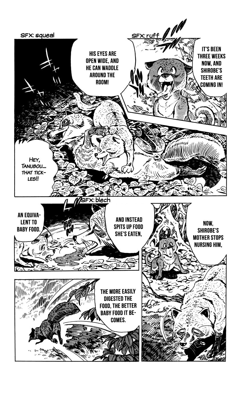Read Shirobe chapter 6 image 13 on Lezhin