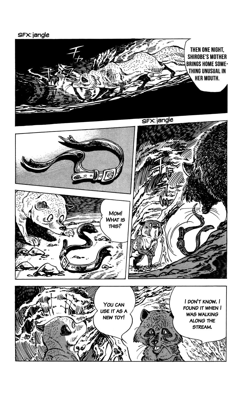 Read Shirobe chapter 6 image 15 on Lezhin
