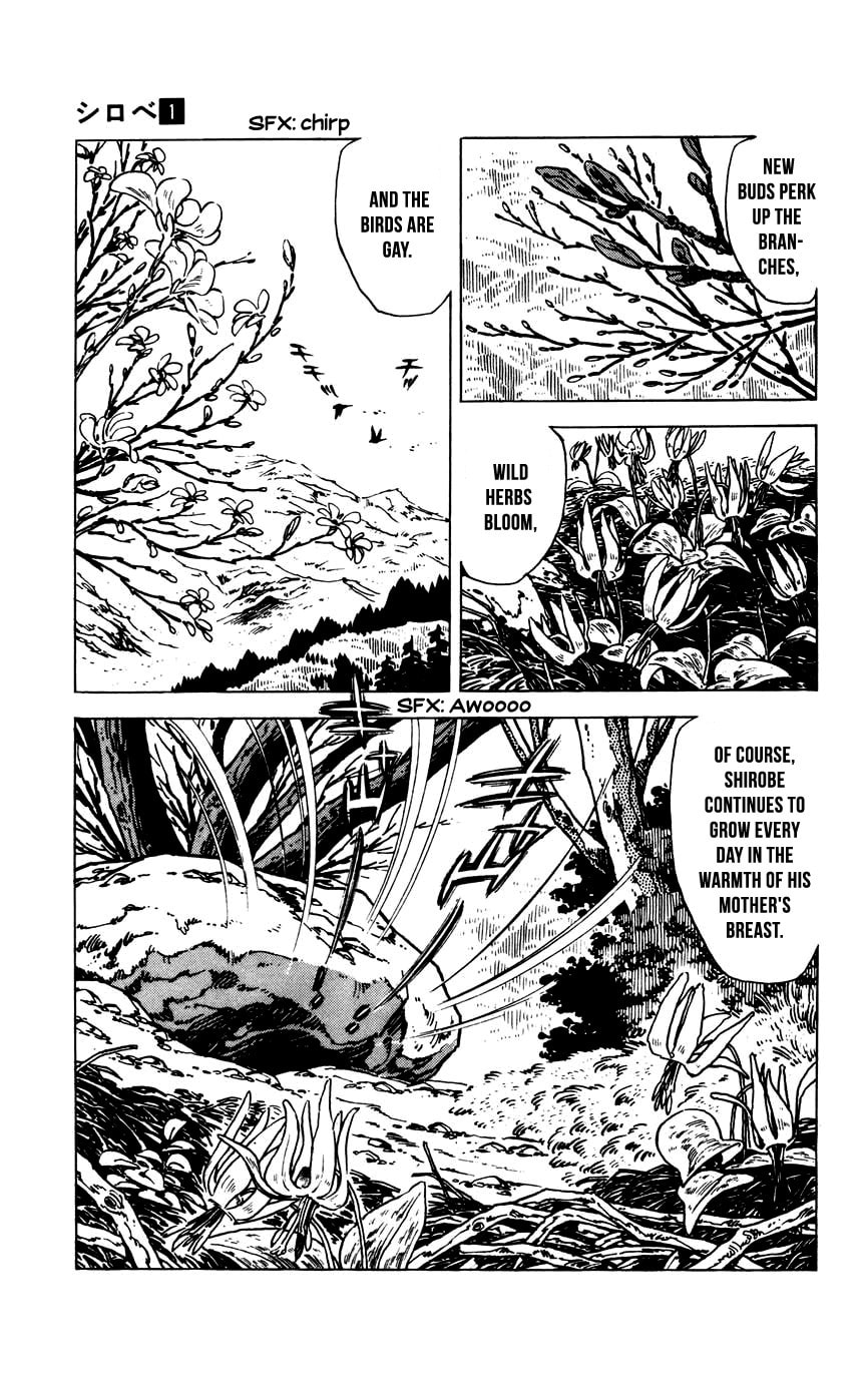 Read Shirobe chapter 6 image 2 on Lezhin