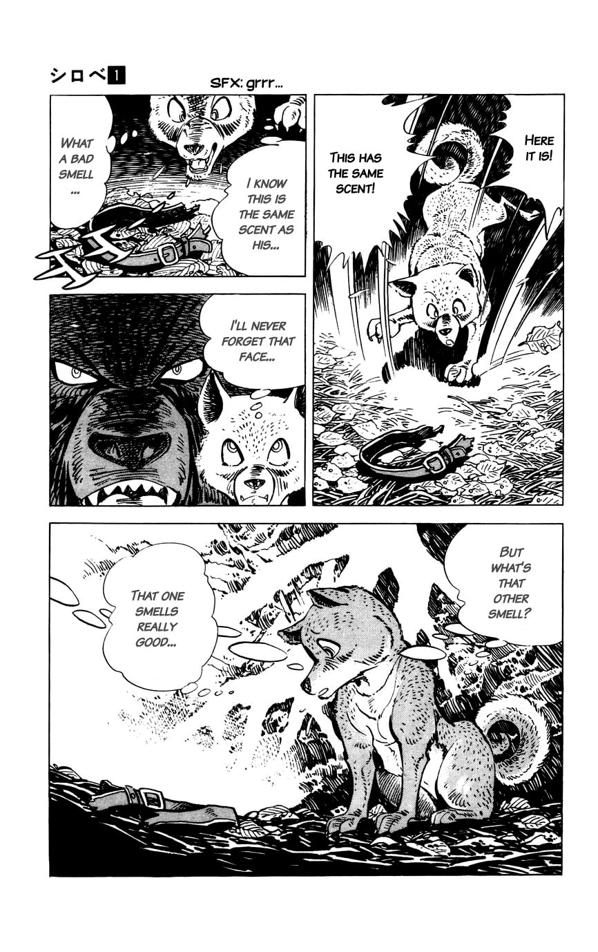 Read Shirobe chapter 8 image 10 on Lezhin