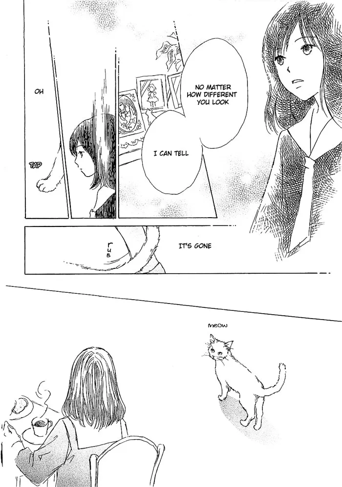 Read Shirube no Michi chapter 1 image 18 on Lezhin