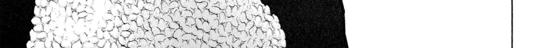Read Shoku King chapter 130 image 1 on Lezhin
