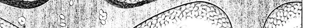 Read Shoku King chapter 145 image 1 on Lezhin