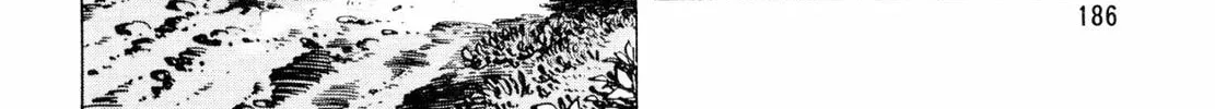 Read Shoku King chapter 24 image 33 on Lezhin