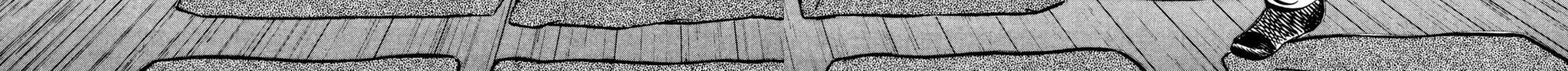 Read Shoku King chapter 249 image 5 on Lezhin