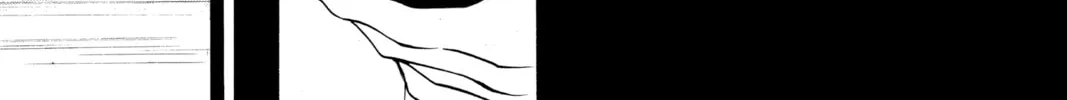 Read Show-ha Shoten! chapter 14 image 45 on Lezhin