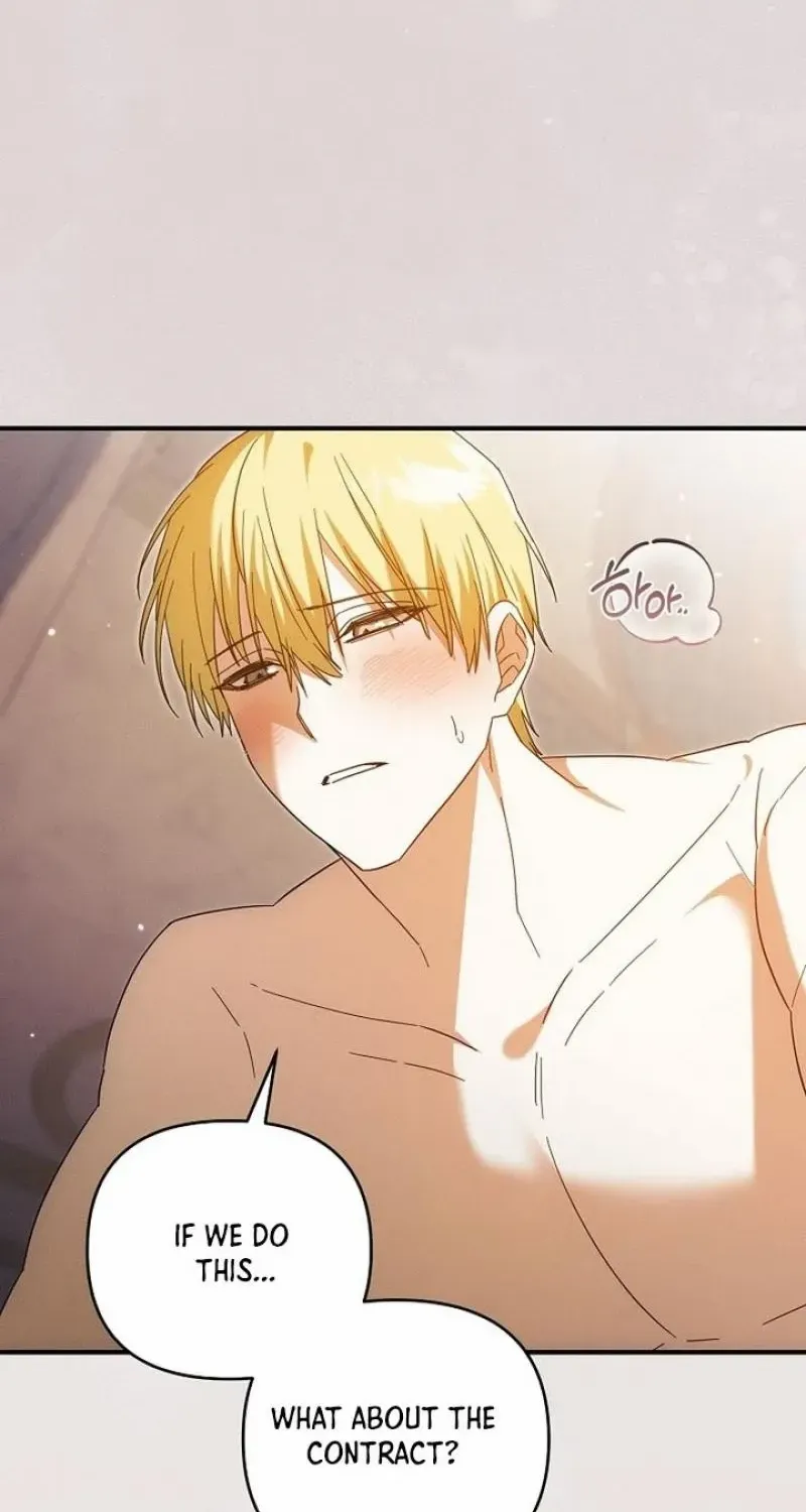 Show Window Scandal Chapter 27 page 40 - 