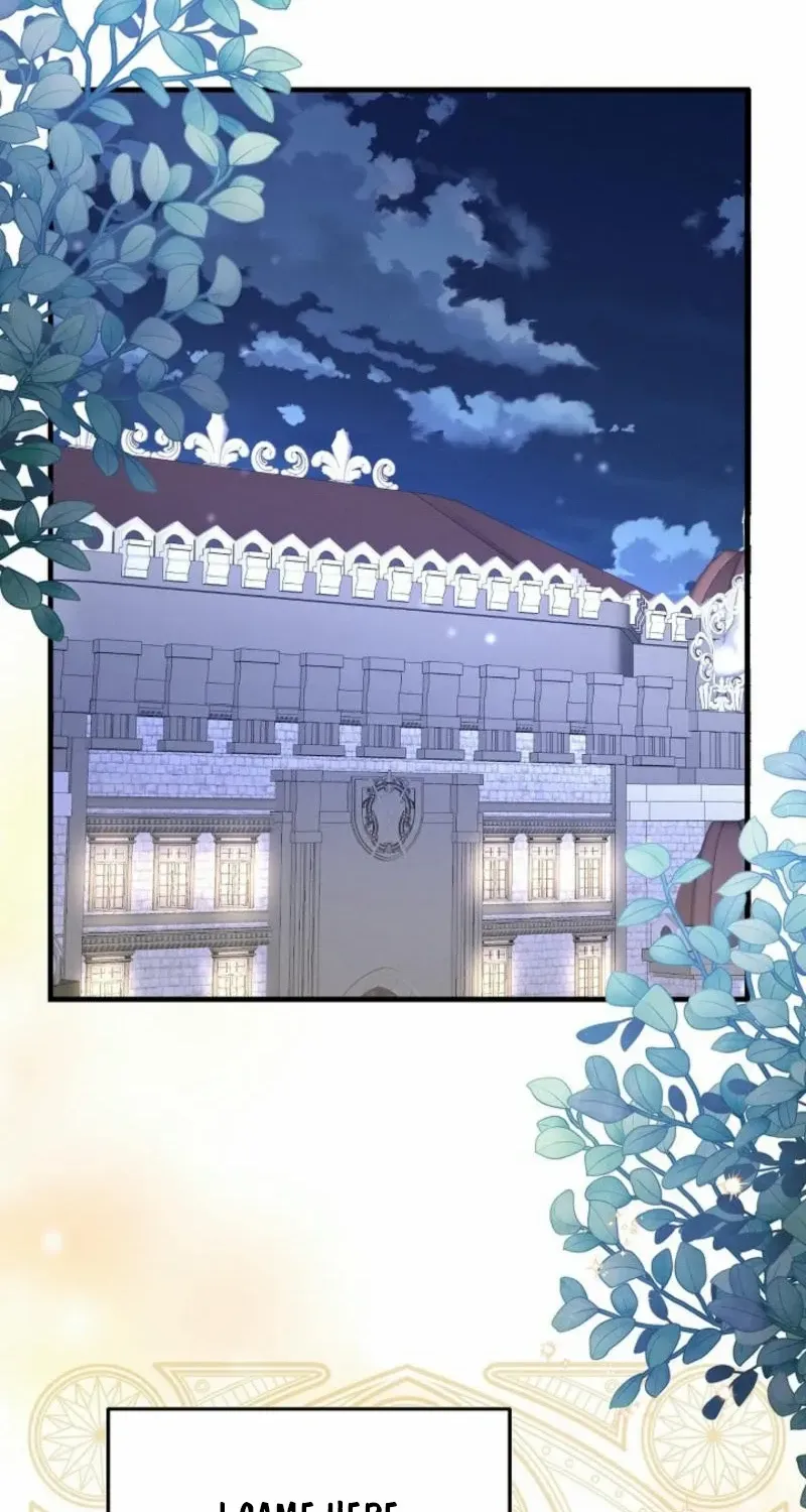 Show Window Scandal Chapter 3 page 66 - 