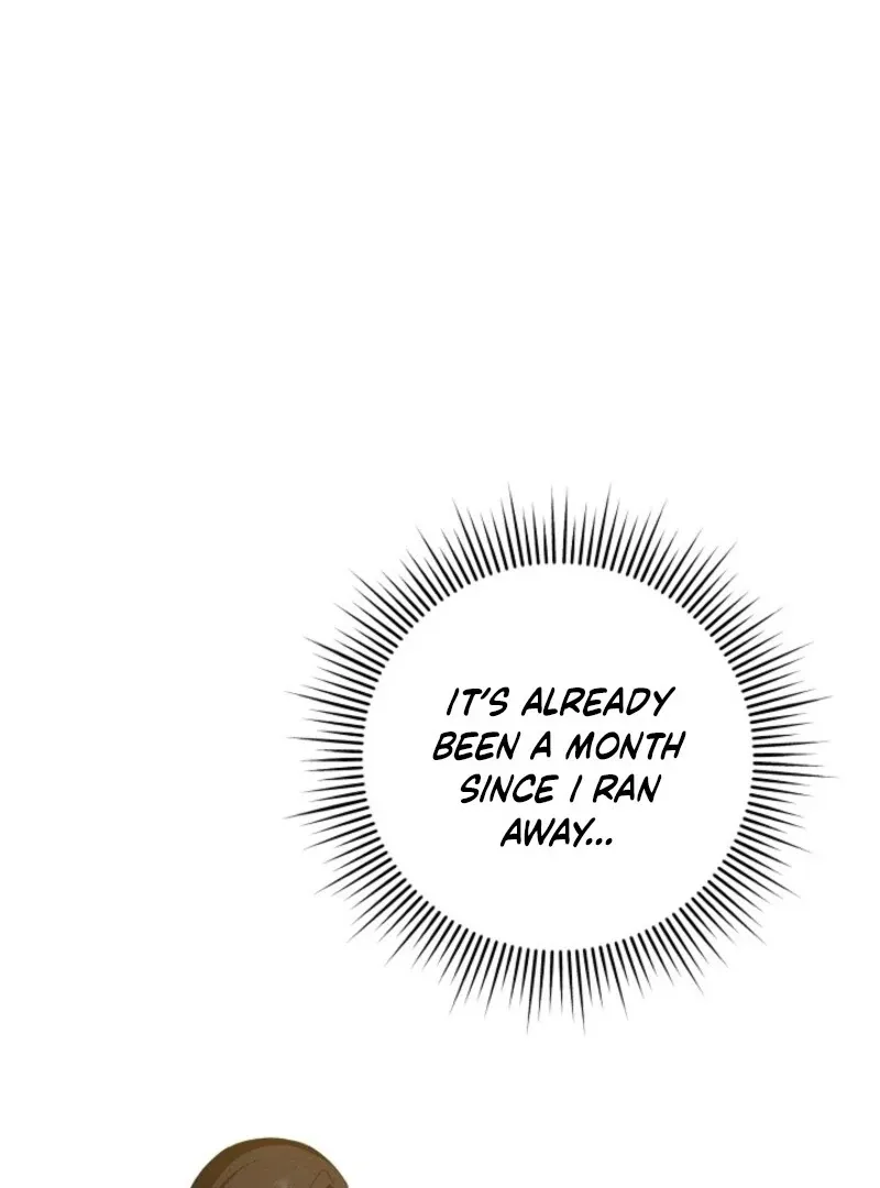 Show Window Scandal Chapter 46 page 3 - 