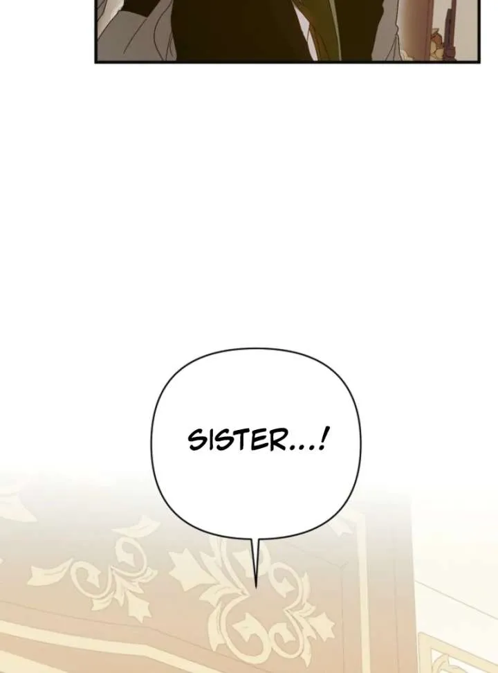 Show Window Scandal Chapter 48 page 91 - 
