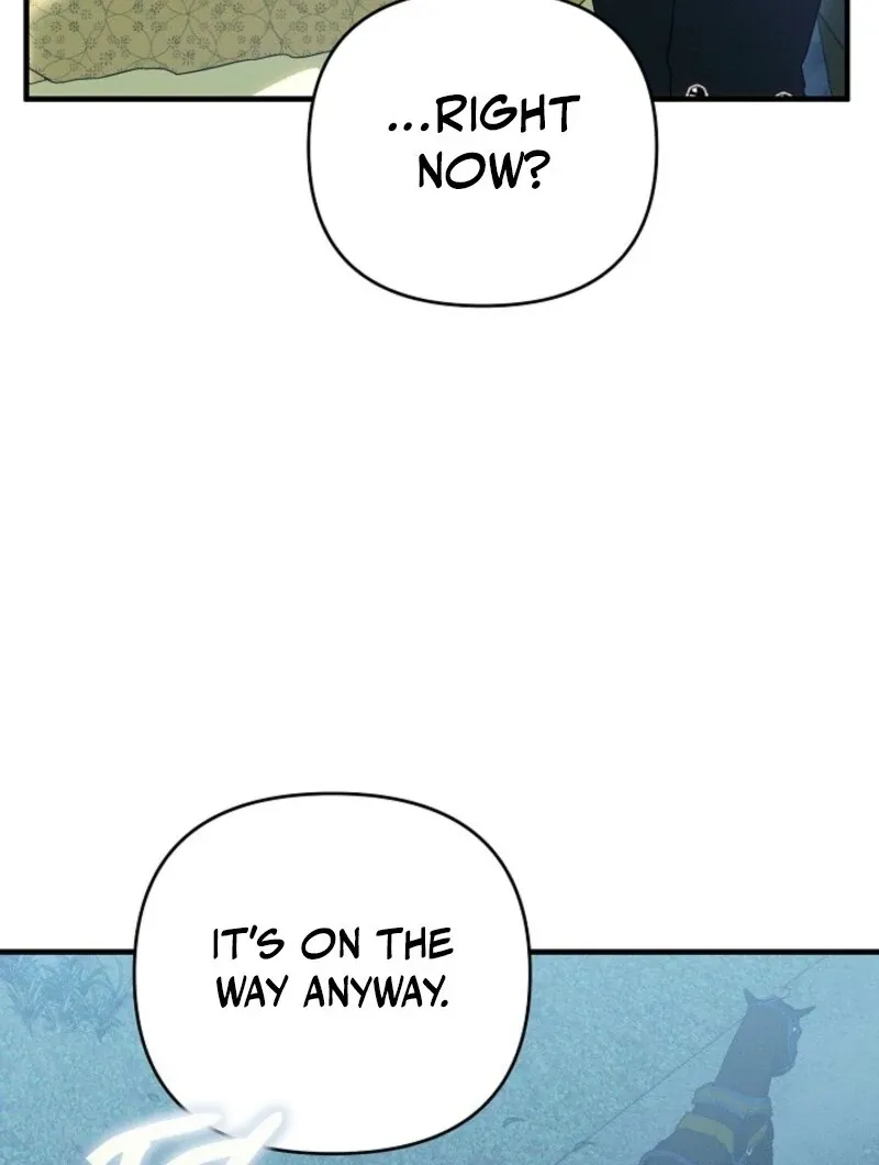 Show Window Scandal Chapter 50 page 66 - 