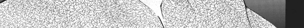 Read Shugo Chara! chapter 40 image 7 on Lezhin