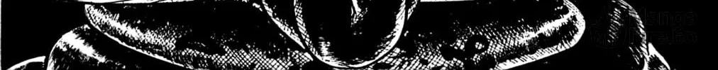 Read Shutendoji chapter 3.3 image 77 on Lezhin