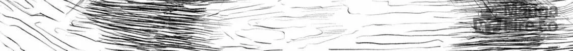 Read Shuukatsu Yuusha chapter 1 image 47 on Lezhin