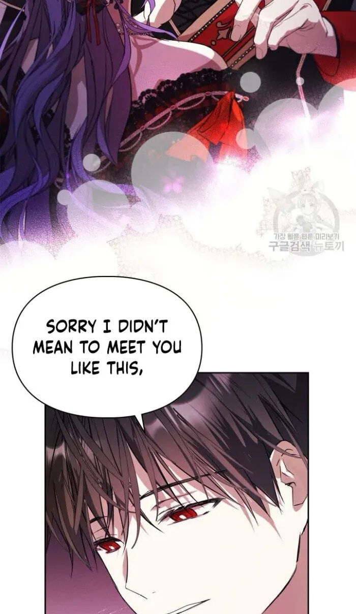 Siella's Revenge Affair Chapter 20 page 45 - 