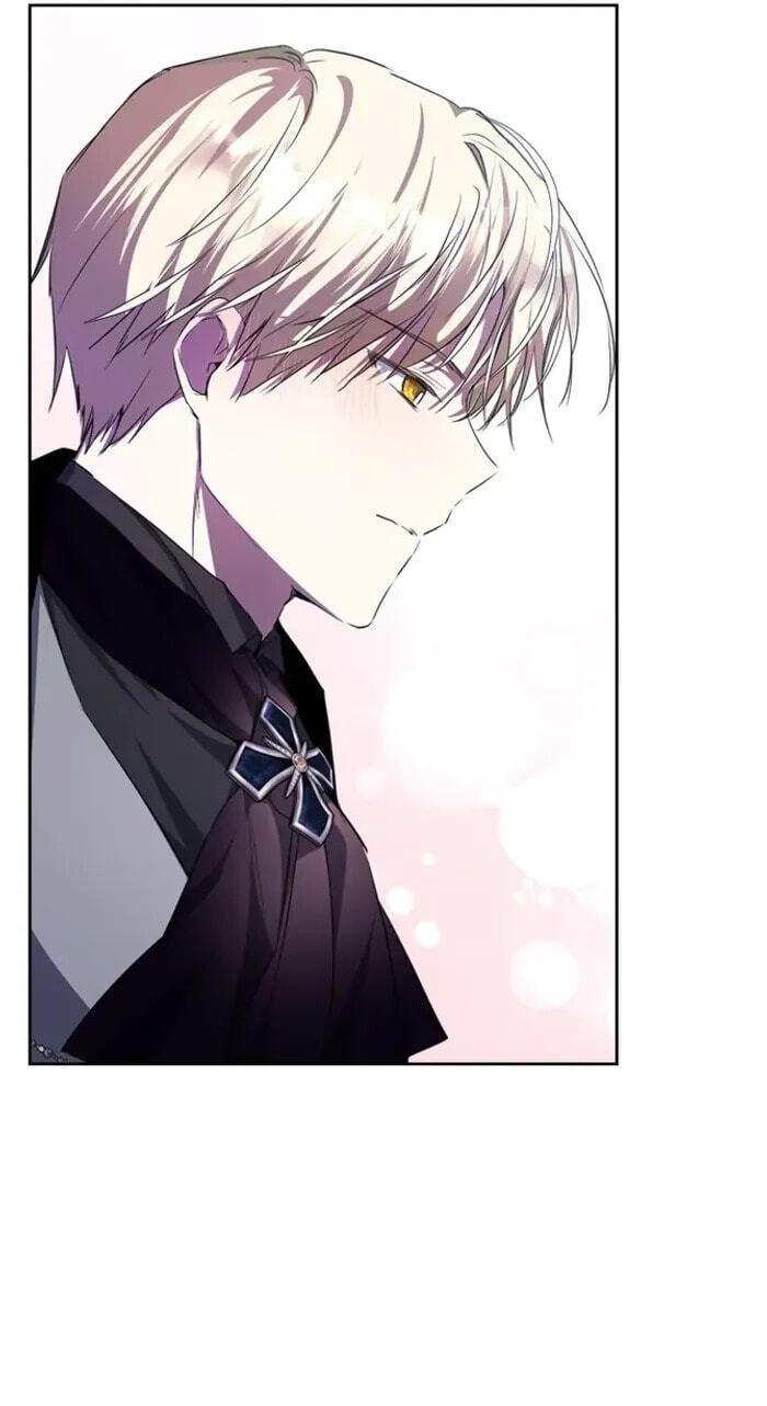 Siella's Revenge Affair Chapter 26 page 29 - 
