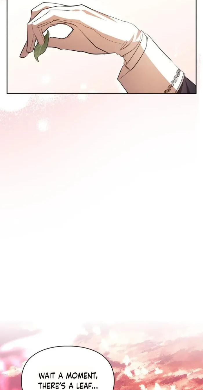Siella's Revenge Affair Chapter 31 page 66 - 