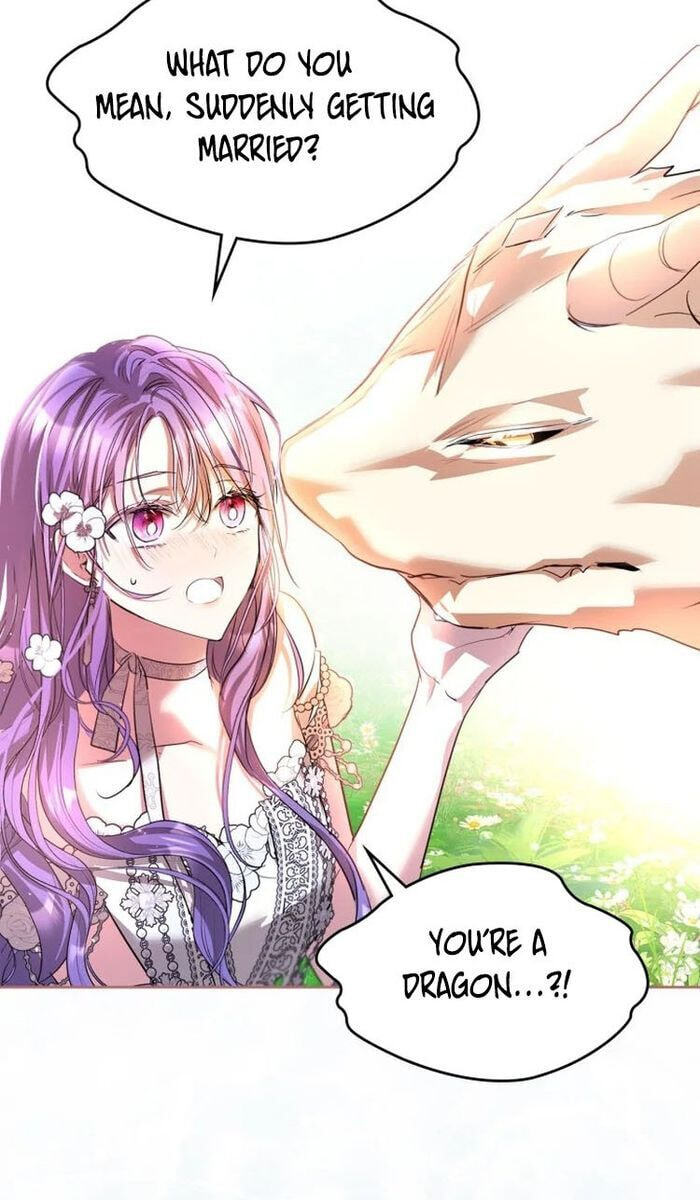 Siella's Revenge Affair Chapter 47 page 36 - 